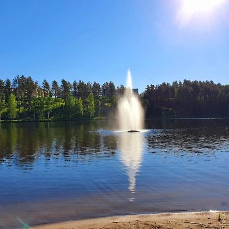 Mansikkaharju Holiday Camp Leppävirta Exteriér fotografie